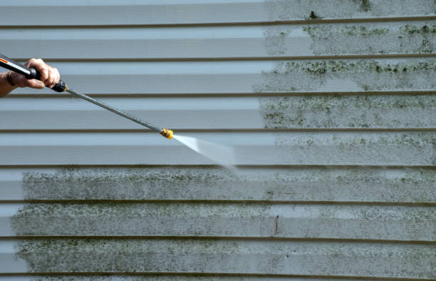 Best Pressure Washing Company Near Me  in Eden, NC