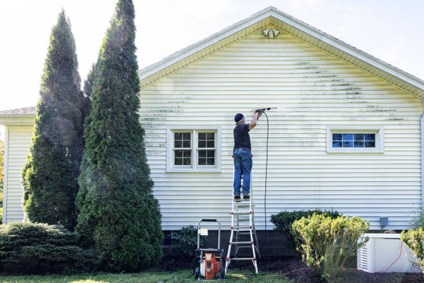 Best Residential Pressure Washing Services  in Eden, NC