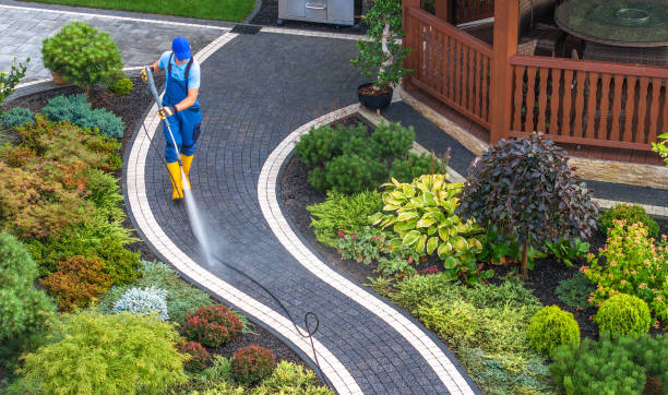 Best Local Pressure Washing Services  in Eden, NC